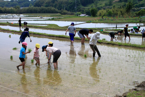 棚田の田植え_e0048413_2253574.jpg