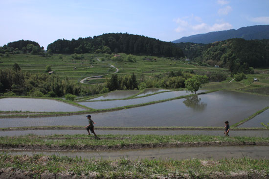 棚田の田植え_e0048413_2272420.jpg