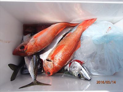 2016年5月14日土曜日_f0031613_2014595.jpg