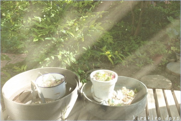 寝室の押入れ収納。。。これで完成☆_f0354014_06574120.jpg