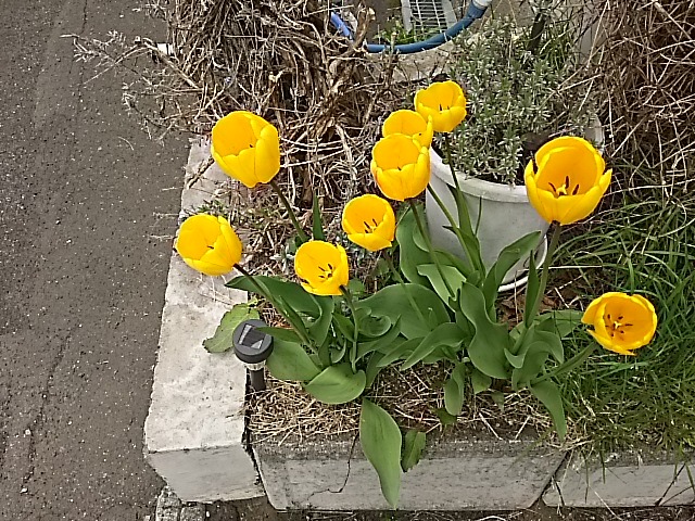 f0227321_15554069.jpg