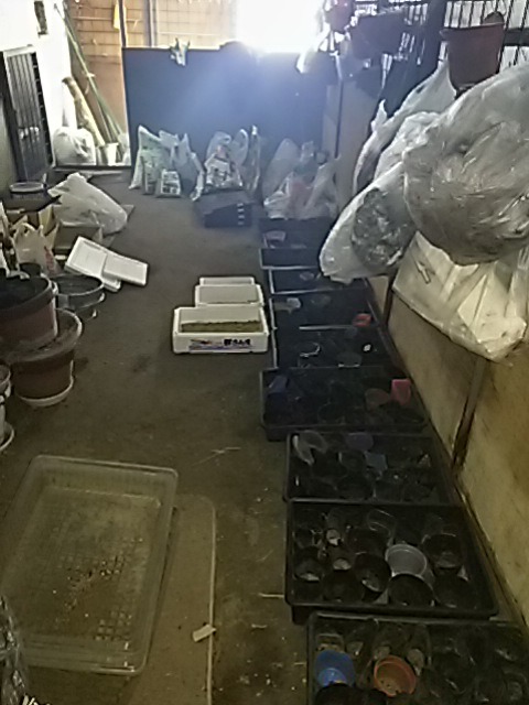 f0227321_15575188.jpg