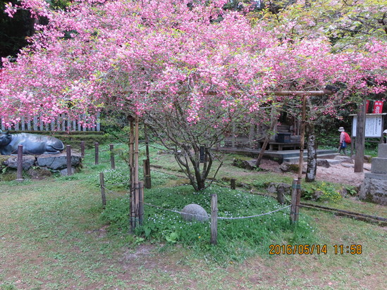 a0048823_19582751.jpg