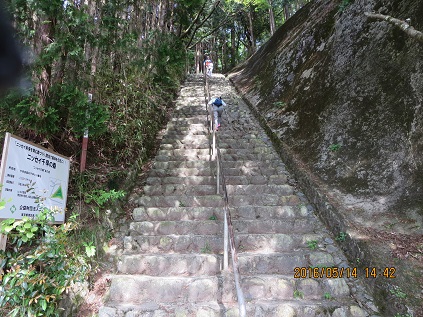 a0048823_20113185.jpg