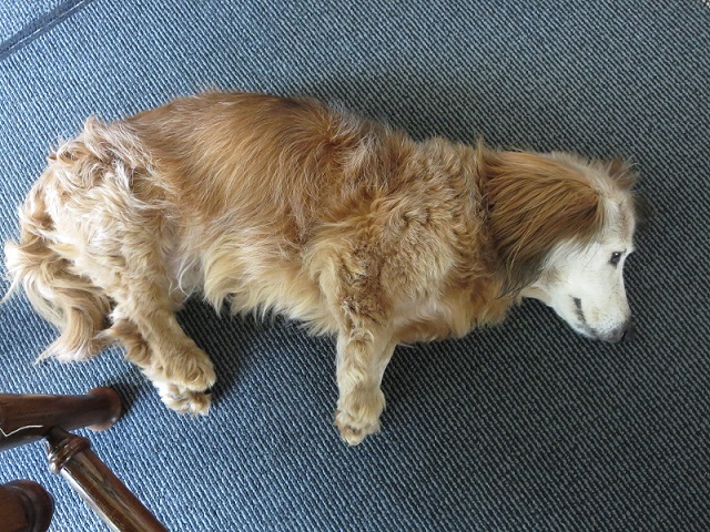b0301236_06420936.jpg