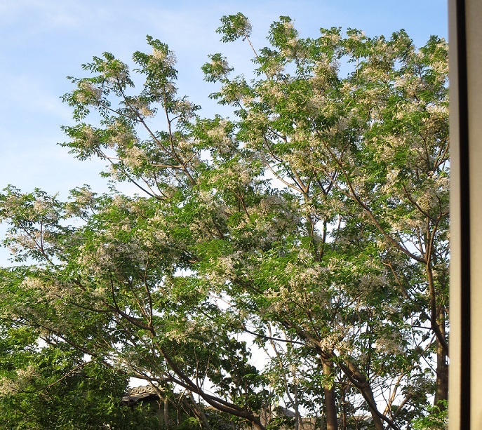 b0301236_06433651.jpg