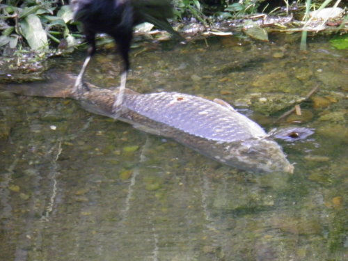 c0338136_14493350.jpg