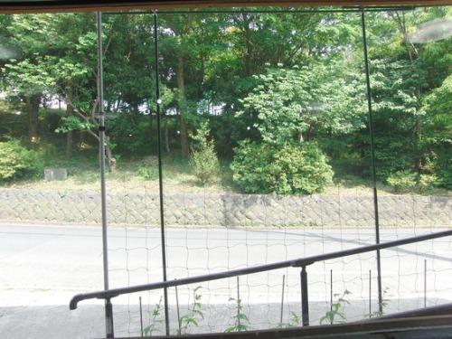 e0222340_15492924.jpg