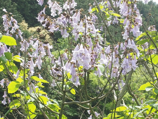 f0222042_21374811.jpg