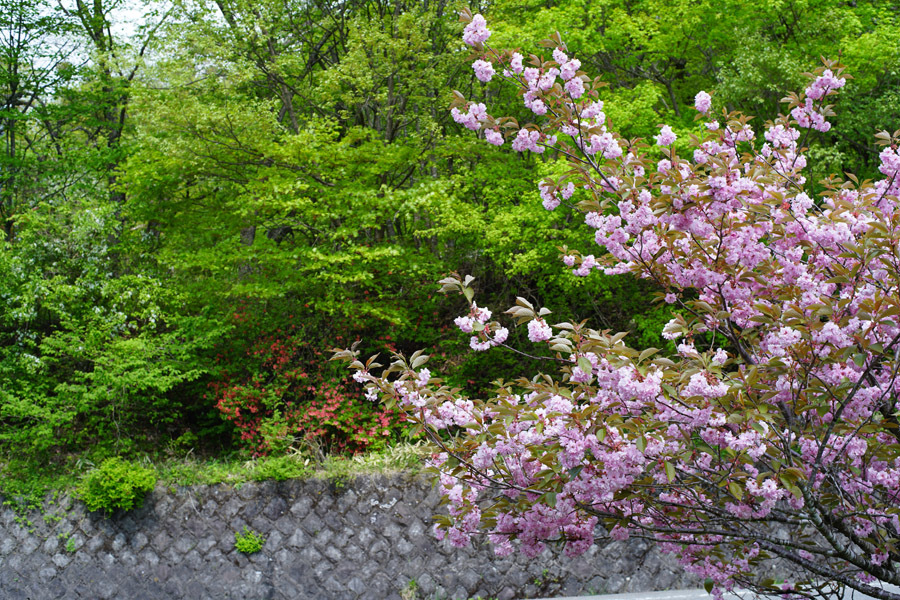 a0324049_19230608.jpg