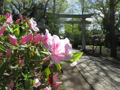b0238249_1931170.jpg
