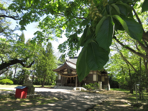 b0238249_1935185.jpg