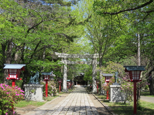 b0238249_20192834.jpg