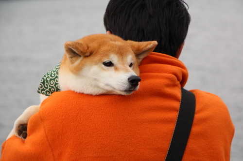 ゴールデンウィーク旅行記　～不安顔～_f0245650_06315224.jpg