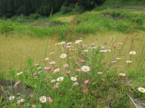 f0202151_22223027.jpg