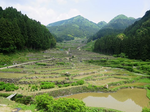 f0202151_226132.jpg