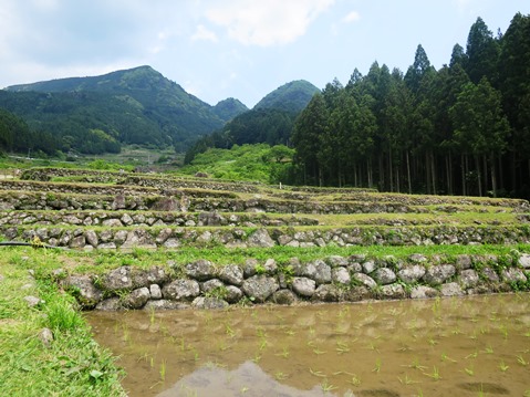 f0202151_227281.jpg
