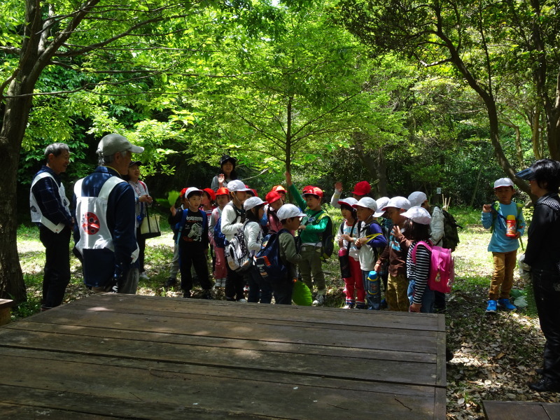 多奈川小学校１・２年生遠足「里山体験」 in　うみべの森_c0108460_00112396.jpg