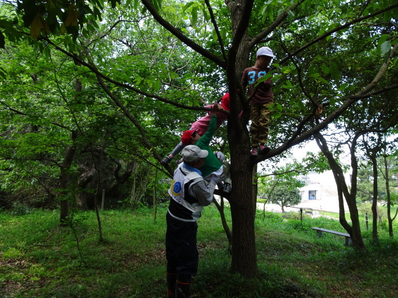 多奈川小学校１・２年生遠足「里山体験」 in　うみべの森_c0108460_00134227.jpg