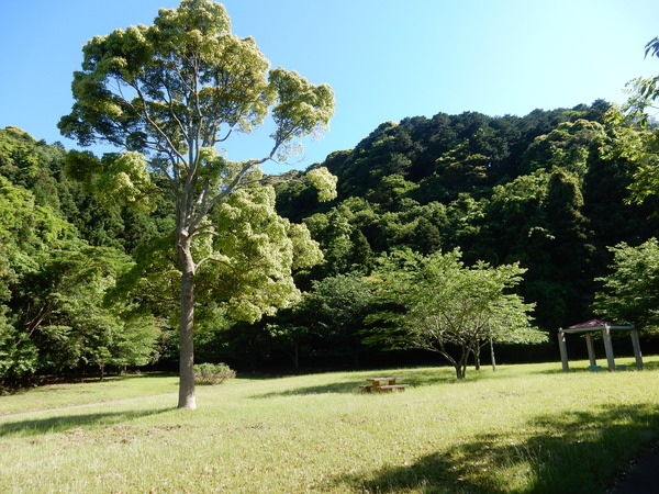 ’16,5,14(土)お散歩は絶好調!_f0060461_6305533.jpg