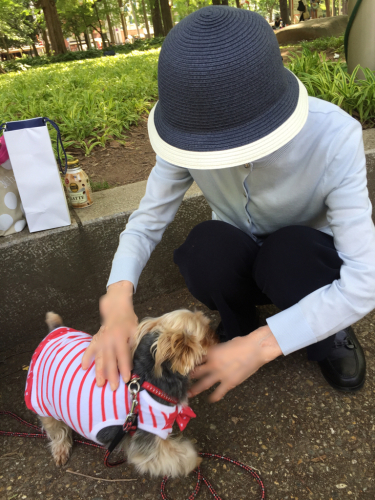 久しぶり♡ 母と家族でお出かけ！お寿司に靱公園のバラ園にリーガロイヤルホテル 盛り沢山の1日！_f0355367_22215610.jpg