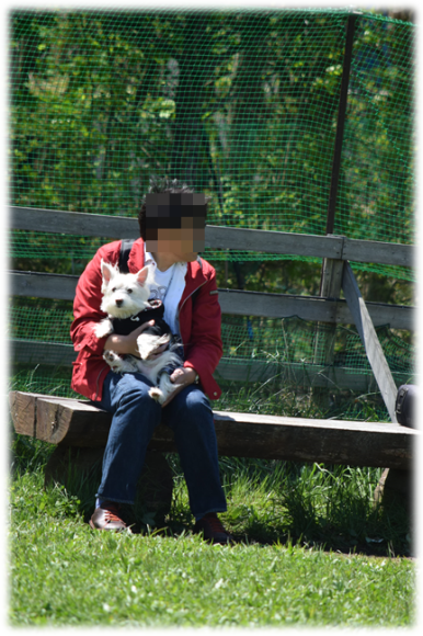 b0242873_23180790.png