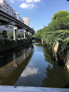 江戸川橋から椿山荘へ_a0191183_22585921.jpg