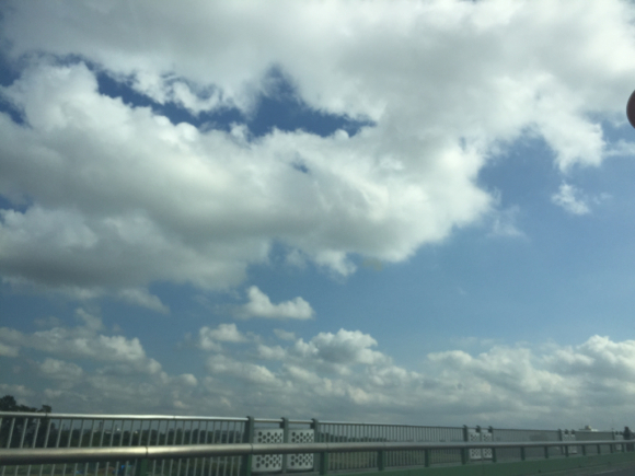 d0135694_12532057.jpg