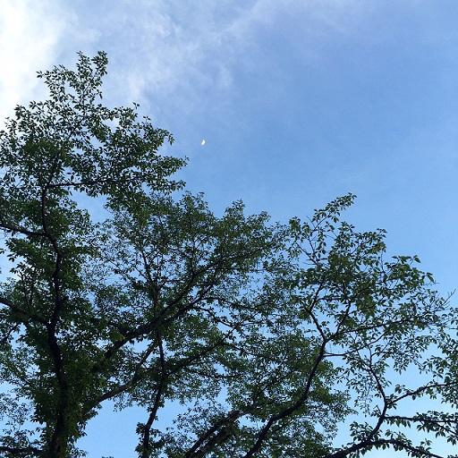 e0025596_21541168.jpg