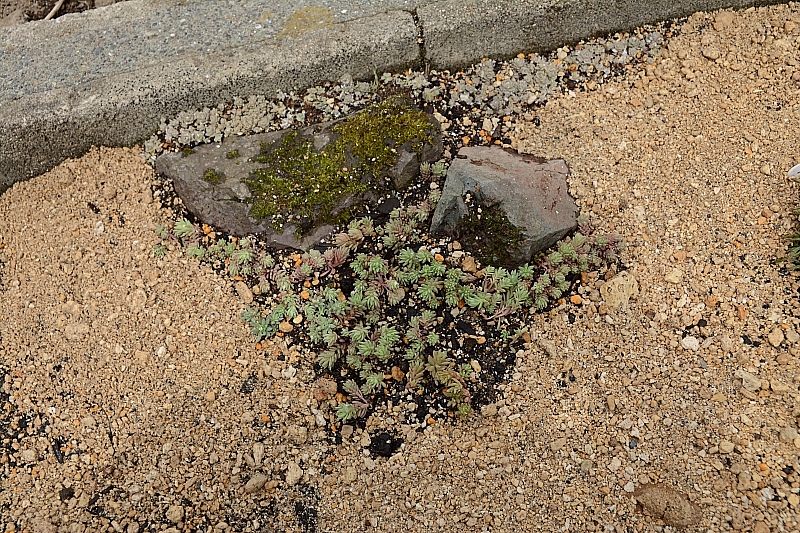 a0248508_2054439.jpg