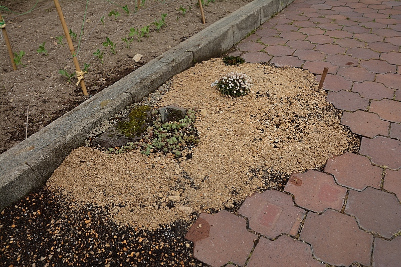a0248508_20552025.jpg