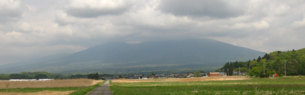 a0138609_742213.jpg