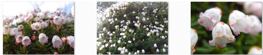 f0231709_0113398.gif