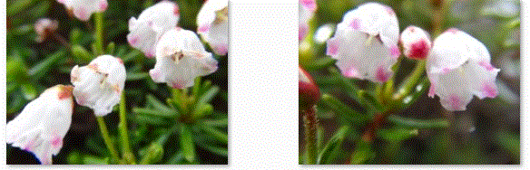 f0231709_011563.gif