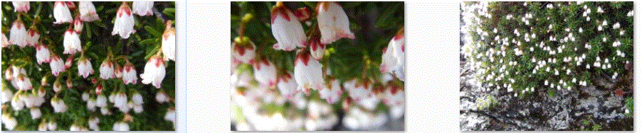 f0231709_0121341.gif