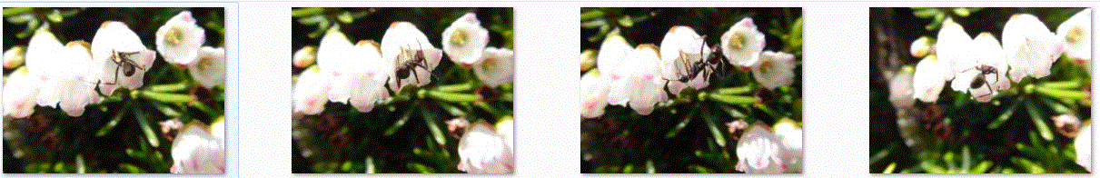 f0231709_0172163.gif