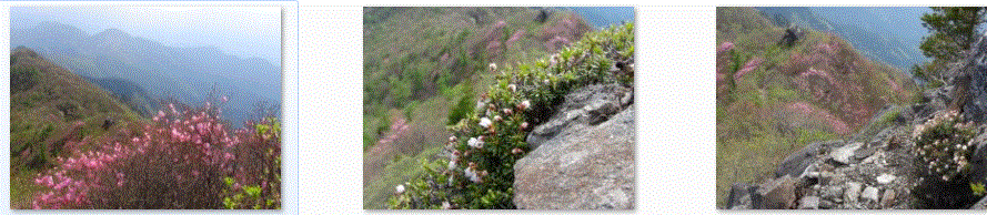f0231709_021228.gif