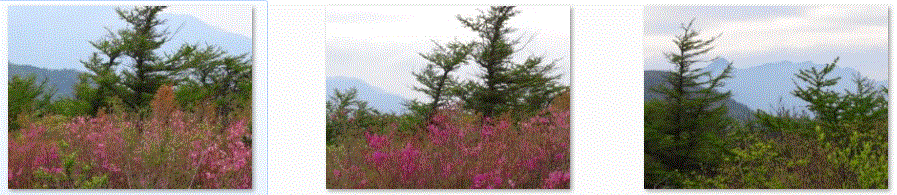 f0231709_0234628.gif