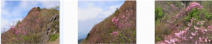 f0231709_054778.gif