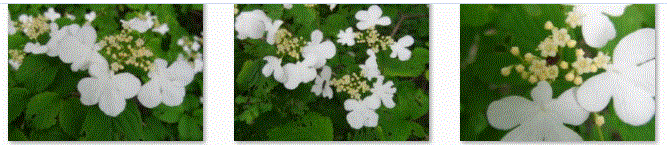 f0231709_0563237.gif