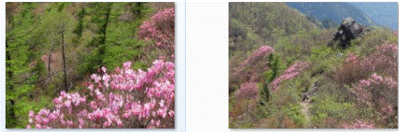 f0231709_06413.gif