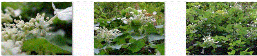 f0231709_1122041.gif
