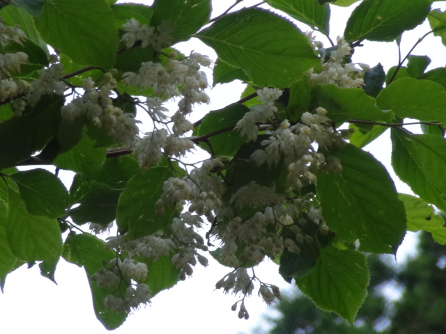 f0231709_13219.jpg