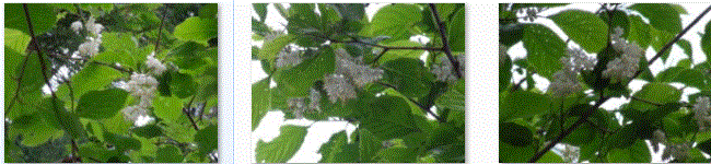 f0231709_145918.gif