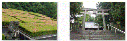 f0231709_21145168.gif
