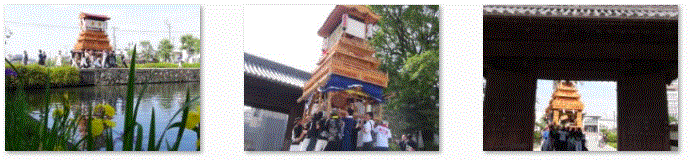 f0231709_22234765.gif