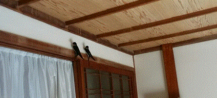 f0231709_31869.gif