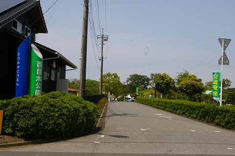 b0275715_142620.jpg