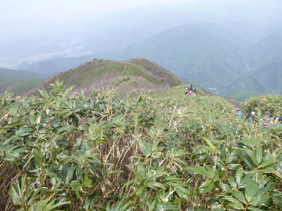 日本百名山　荒島岳 (1,523.4M)   下山 編_d0170615_1911127.jpg