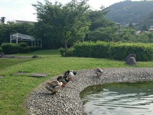 c0213817_00083195.jpg